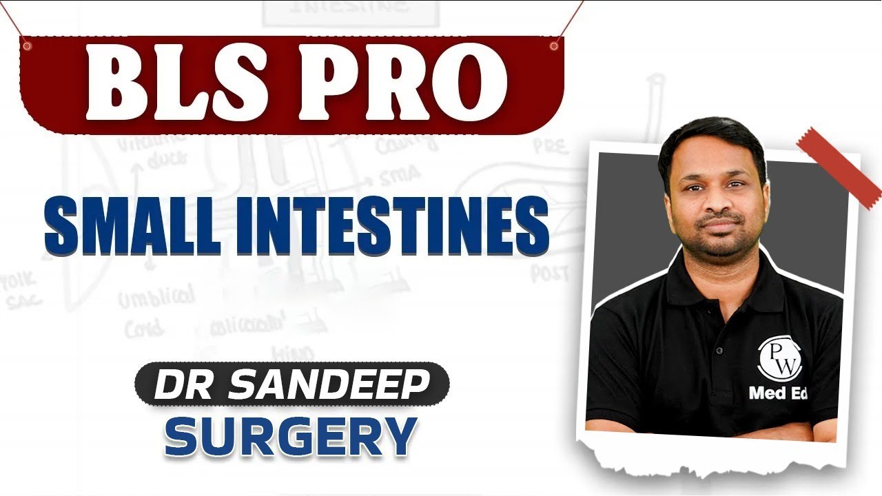 Small Intestines - Part 1 | Surgery | Bailey learned with Dr. Sandeep