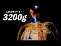 出た！！真冬のモンスター3200g【エンバーメイズ】【エギング】