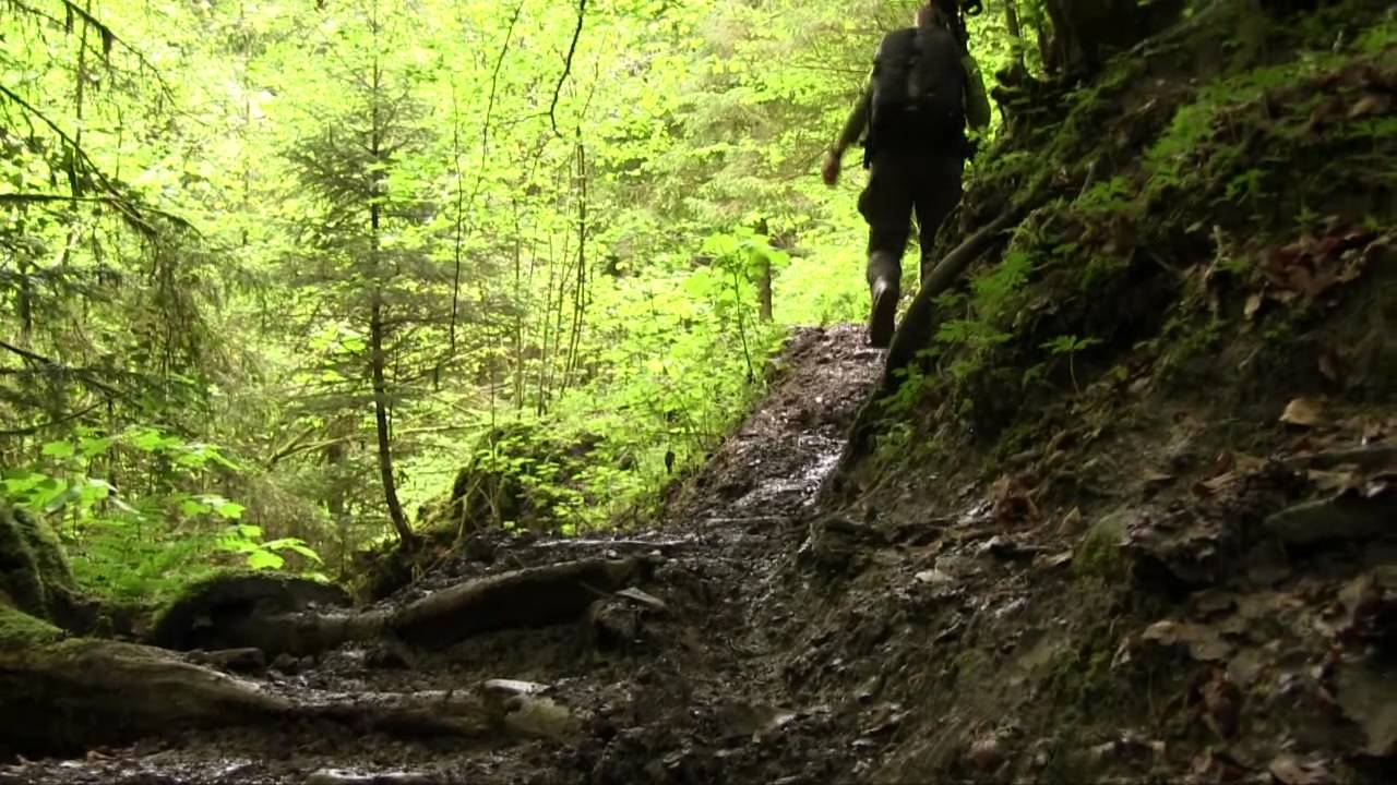 Hörschbachschlucht bei Murrhardt - YouTube Hörschbachschlucht bei Murrhardt - YouTube