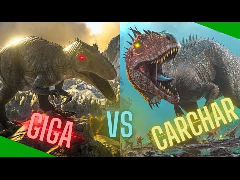 Video: Kas yra didesnis carcharodontosaurus, palyginti su giganotozaurus?