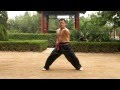 An Wushu - Some Baji Basics and Fight Applications