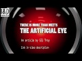 THERE IS MORE THAN MEETS THE ARTIFICIAL EYE  - Of HAL and Kubrick