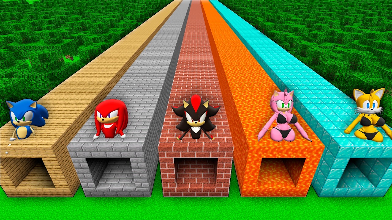 I found a SONIC TUNNEL vs TAILS vs AMY in Minecraft ! What's INSIDE the SHADOW SONIC TUNNEL ?