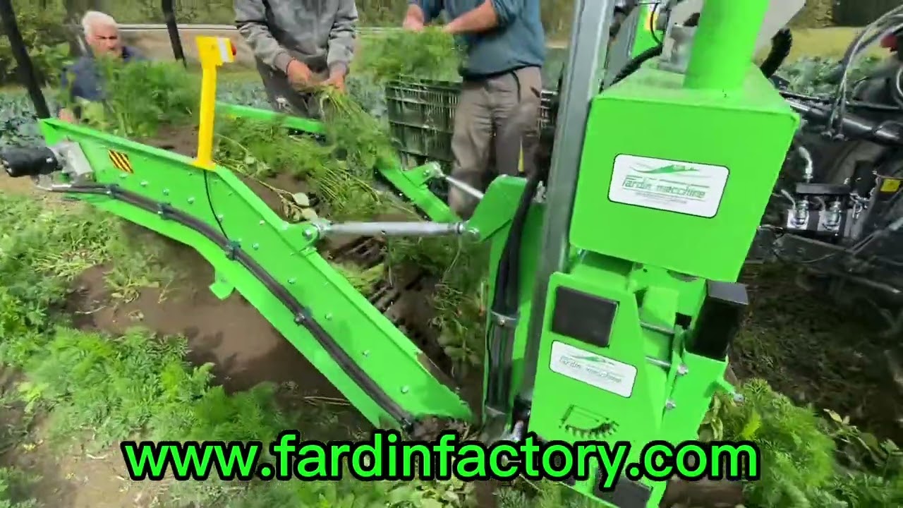 Scavatuberi ed ortaggi AMERICA - raccolta porro, rapa e carota