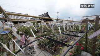 おふさ観音・風鈴まつり