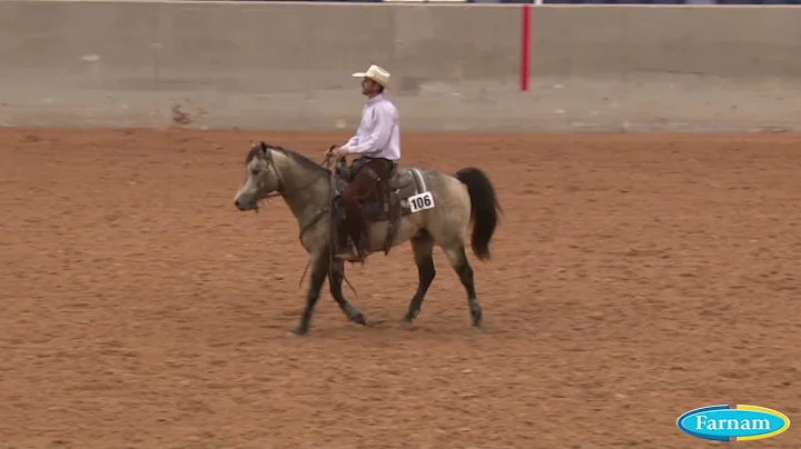 210429 Open Derby Rein Fence Robert Rivers on Djan...