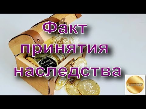 Факт принятия наследства. Фактическое принятие наследства. Какие действия? Срок? Список документов.