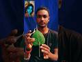 “पीपल के पत्ते पर श्रीकृष्ण 🙏 प्रकृति में बसी भगवान की कला | Pipal Patta Art” #youtubeshorts #india