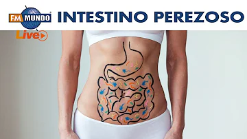 ¿Cómo se restablece un intestino perezoso?