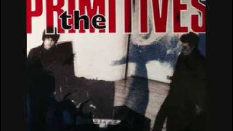 Really Stupid - The Primitives