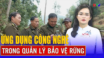 Ứng dụng công nghệ trong quản lý bảo vệ rừng | Quản lý bảo vệ rừng 19-2-2025 | Điện Biên TV
