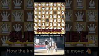 One KNIGHT Endless KNIGHTMARES 🐎♟️
