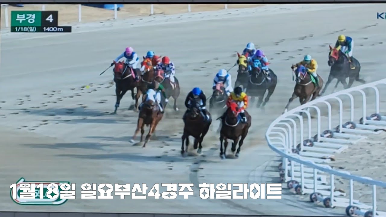저기여? 배당판이 잘못나왔어유!(1/18일요경마 부산4경주)