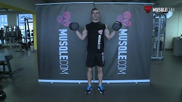 Standing Inner Biceps Curl