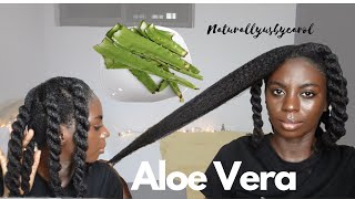 DIY ALOE VERA HAIR MASK for massive hair growth!!