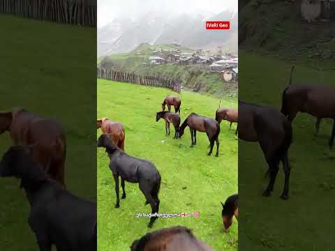 Ushguli!????????⛰️???? #georgia #caucasus #mountains #nature #naturelovers #landscape #viral ##fyp #