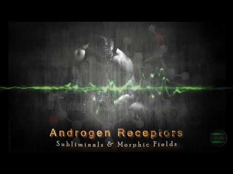 ANDROGEN RECEPTORS [AR] - Subliminals & Morphic Fields (Sensitivity & Development)