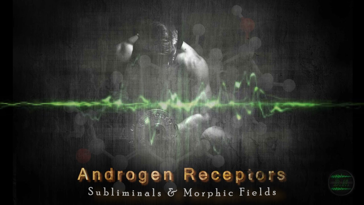 ANDROGEN RECEPTORS [AR] - Subliminals & Morphic Fields (Sensitivity & Development)