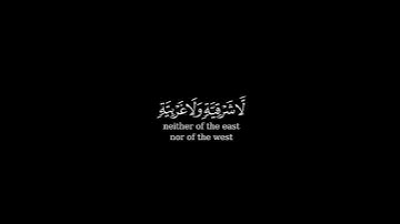كرومة شاشة سوداء بصوت #محمد_المحمدي     #سورة_النور