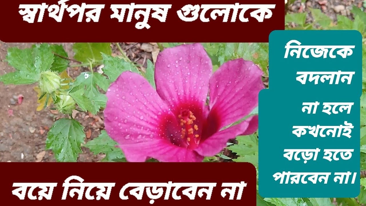 পুরোনো চাবি দিয়ে কখনো নতুন দরজা খোলা যায় না, তাই নিজের চিন্তা ধারা বদলান।