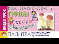 Как нарисовать ГРИБЫ цветными карандашами. Видео-урок для начинающих художников.