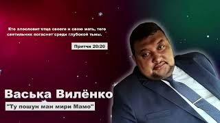 Ту пошун ман мири Мамо | Васька Виленко