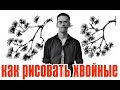 Ландшафтный скетчинг - как рисовать хвойные деревья - ландшафтная графика - Кичигин Эдуард