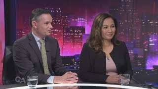 Full interview: Green Party co-leaders on Q+A