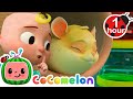 Jellybean the sleepy hamster  cocomelon animal time  learning with animals  nursery rhymes