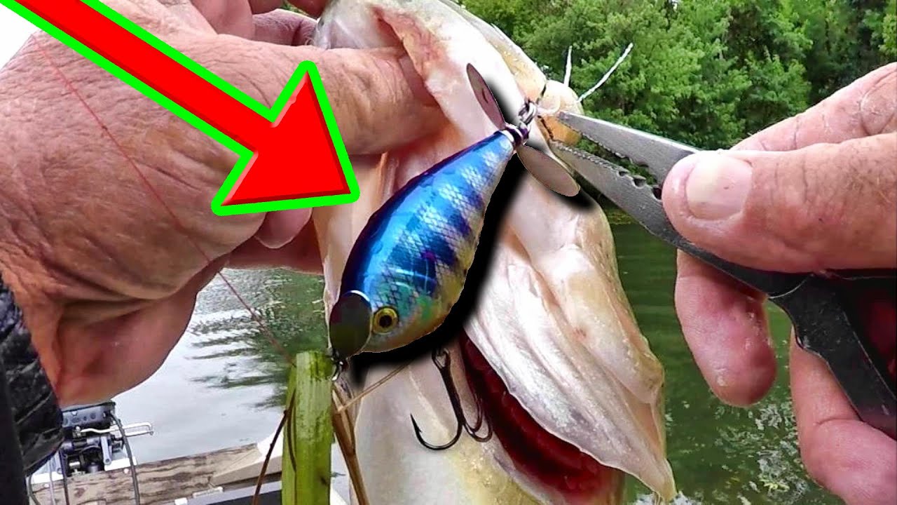 This Topwater Lure Catches Tons Of Fish Youtube