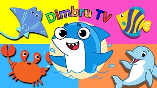 Sea Animals for Kids | Learn Aquatic Animals Names with Videos | Toddlers Learning