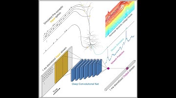Single Cortical Neurons as Deep Artificial Neural Networks: Figure360 Author presentation of Figure2
