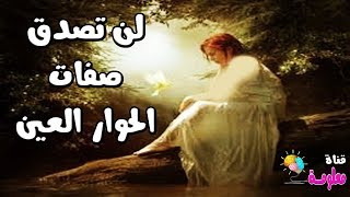 من هم الحور العين وما يقدمة للرجال داخل الجنة !!!