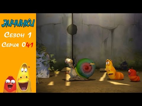 Личинки (Larva) -