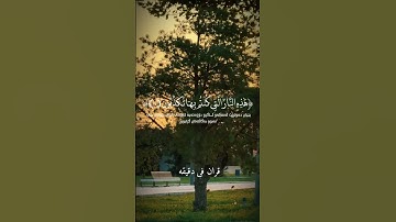 قران كريم ارح قلبك وسمعك #قران_في_دقيقة #quran #رزكار_الكردي #قرآن @قران_في_دقيقة