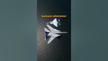 F-14 Tomcat AI Backseater is Actually Useful! #dcs #simulation