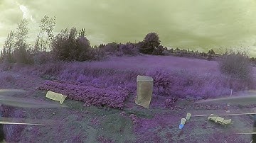 Tyro79 caddx turtle v2 purple field