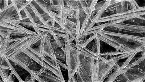 Amex & Paotex - Freeze Me