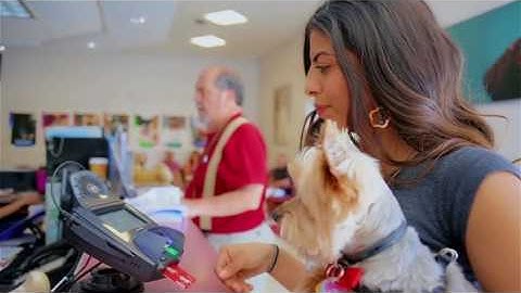 Veterinary:Secure Credit Card Billing, Record Keeping, e-Signature, Secure
