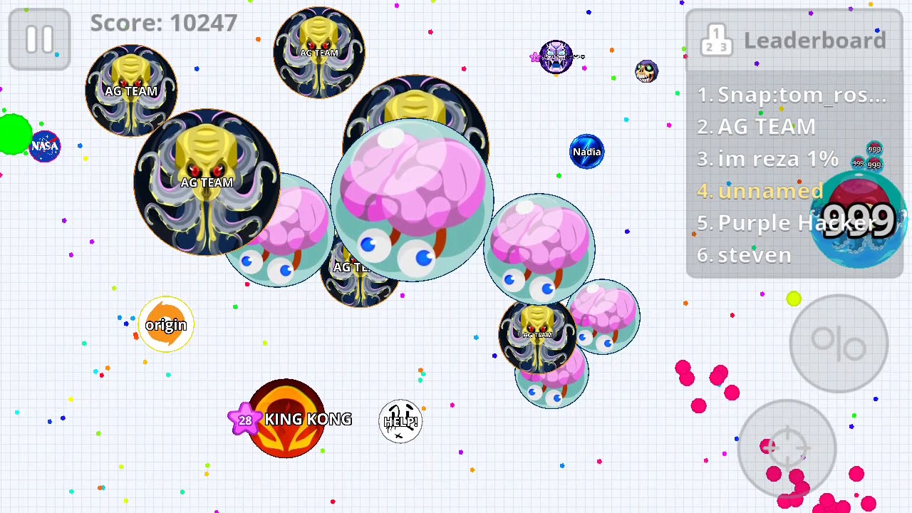 INSANE RANDOM DUO TAKEOVER ¦AGAR.IO