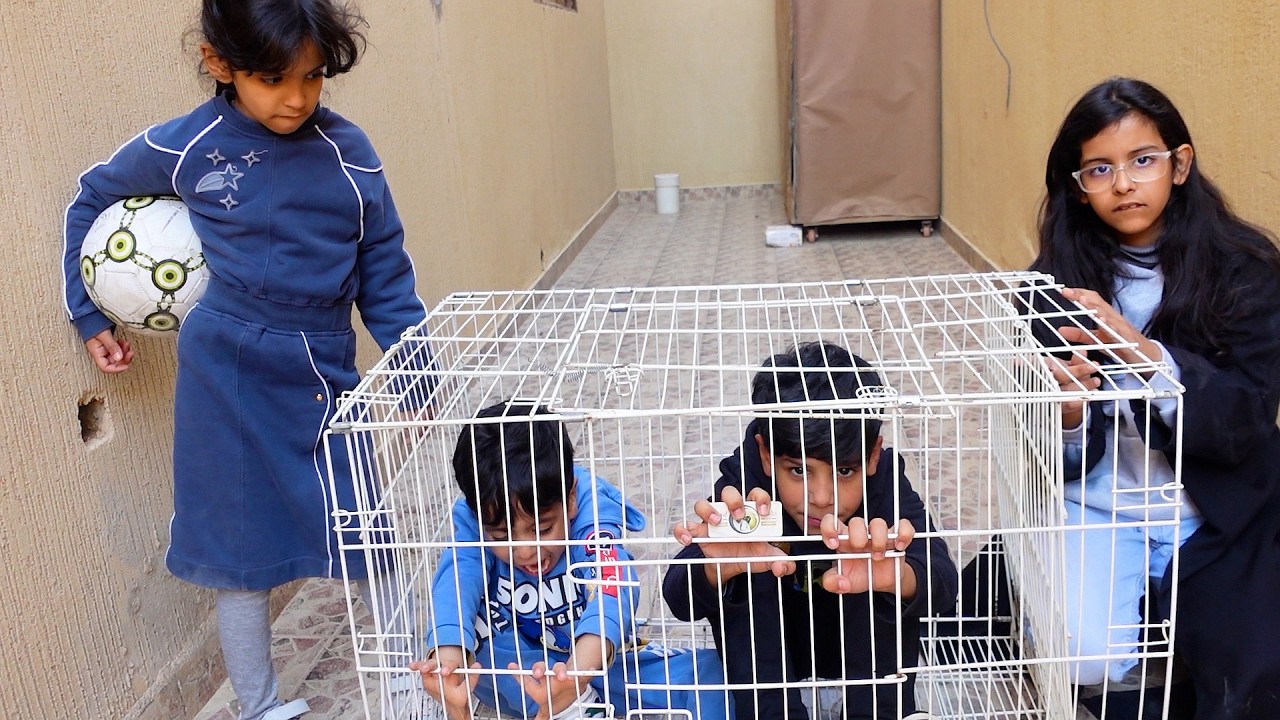 اولاد الجيران ازعجوا البنات والبنات تصرفوا معاهم !!