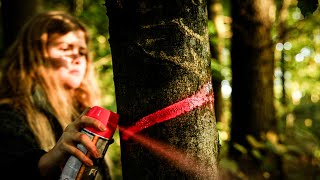 #Reportage - Vom Wald bis zum Kamin: So wird Brennholz aus Osnabrück verarbeitet