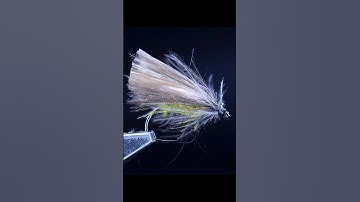 Swiss CDC Caddis – Super Buoyant Dry Fly for Trout!