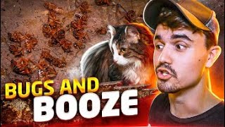 Bugs and Booze | Hoard Removal