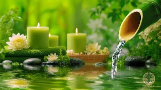 Download Lagu Relaxing Music \u0026 Sounds of Nature 🌿 Sleeping Music for Deep Sleep, Calm Music, 100% Authentic Nature MP3 Download Lagu Relaxing Music \u0026 Sounds of Nature 🌿 Sleeping Music for Deep Sleep, Calm Music, 100% Authentic Nature MP3