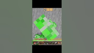 Minecraft moment☠️😵