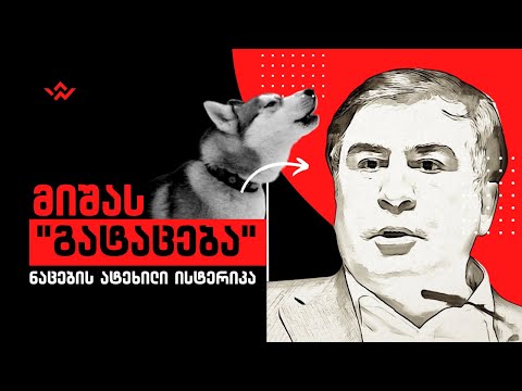 მიშას \"გატაცება\" ციხიდან /  მომღერალი ჰასკი - სპეციალური სტუმარი /#სამნი \u0026 Co./ 09.05.2022