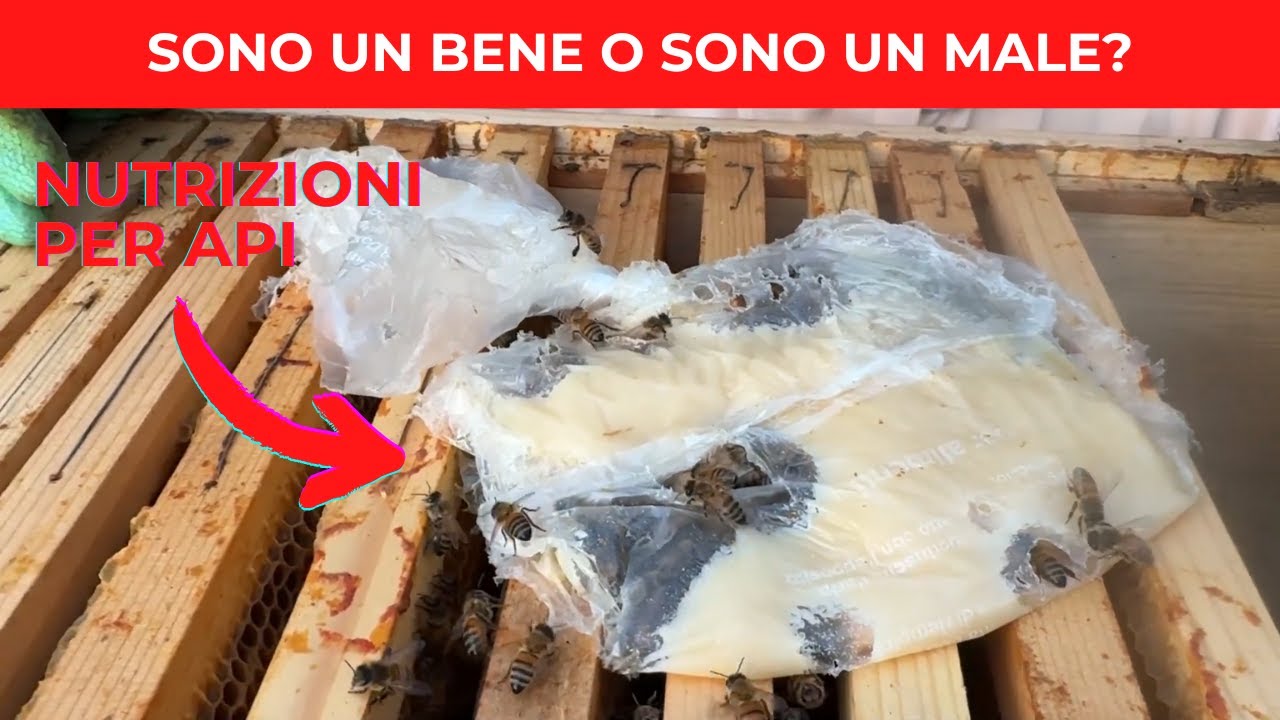 Le Nutrizioni Artificiali sono un BENE OPPURE NO?