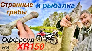 Хонда XR 150 НА РЫБАЛКУ, ЗА ГРИБАМИ, ОФФРОУД, ЭНДУРО