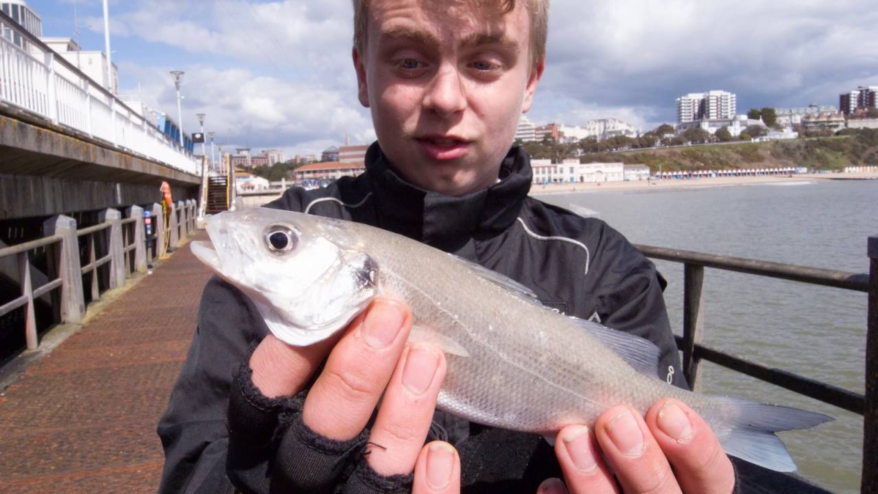 Bournemouth Pier Fishing 2016 YouTube